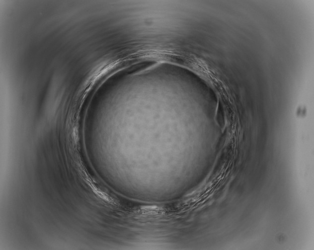 X0000100930050200807011231