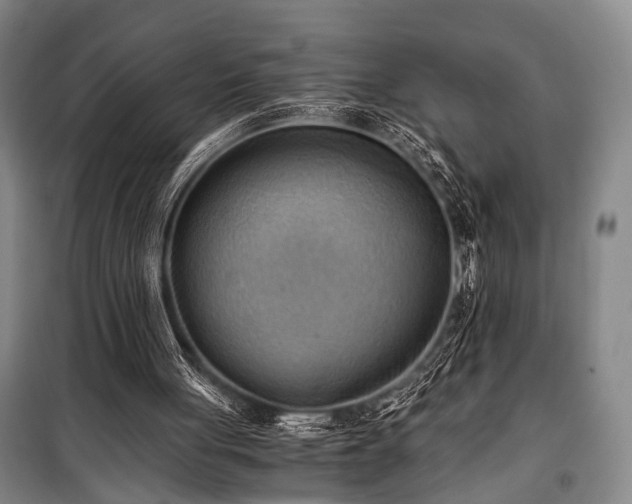 X0000100930051200807011231