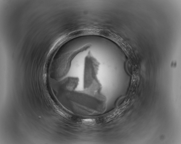 X0000100930053200807011231