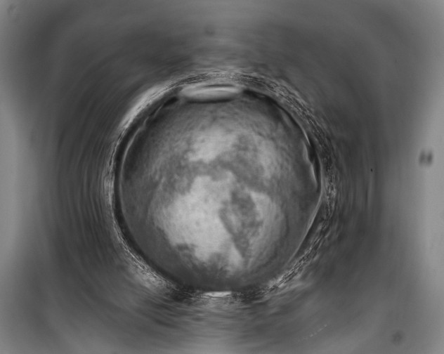 X0000100930054200807011231