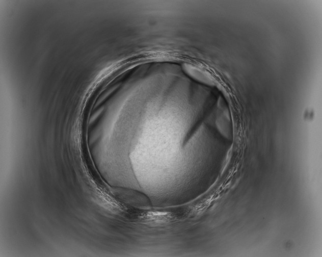 X0000100930055200807011231