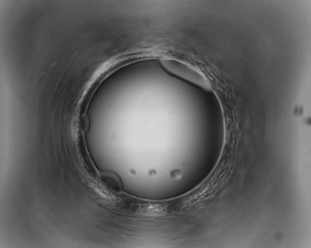 X0000100930056200807011231