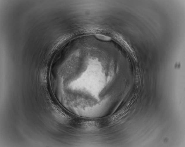 X0000100930058200807011231