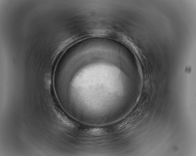 X0000100930059200807011231