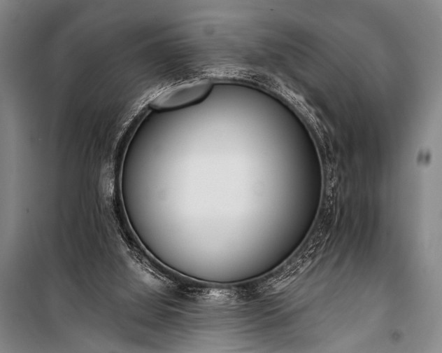 X0000100930060200807011231