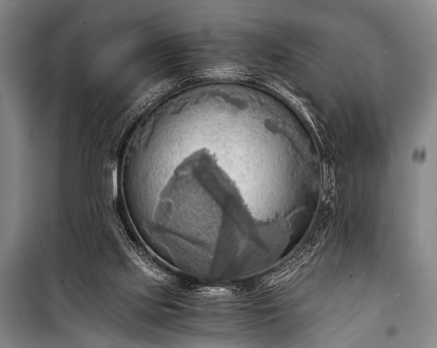 X0000100930061200807011231