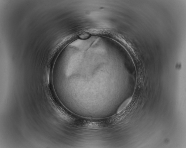 X0000100930062200807011231