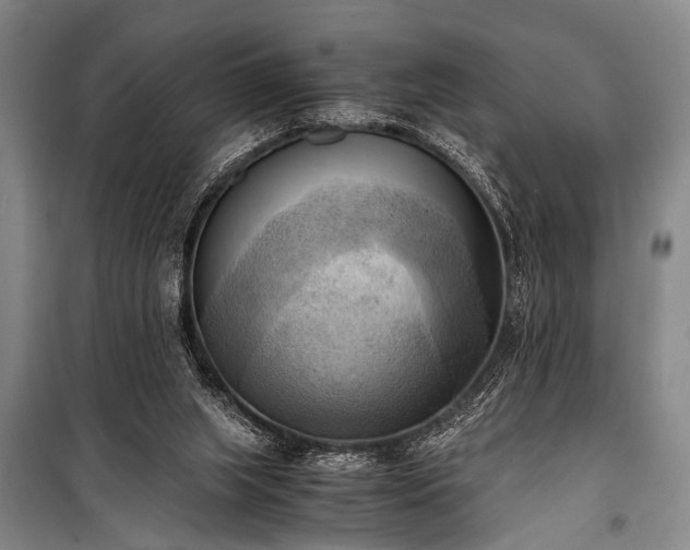 X0000100930063200807011231