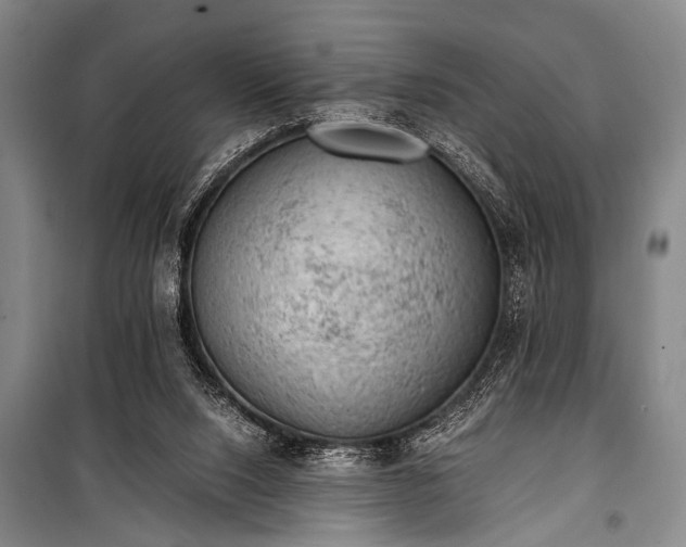 X0000100930064200807011231