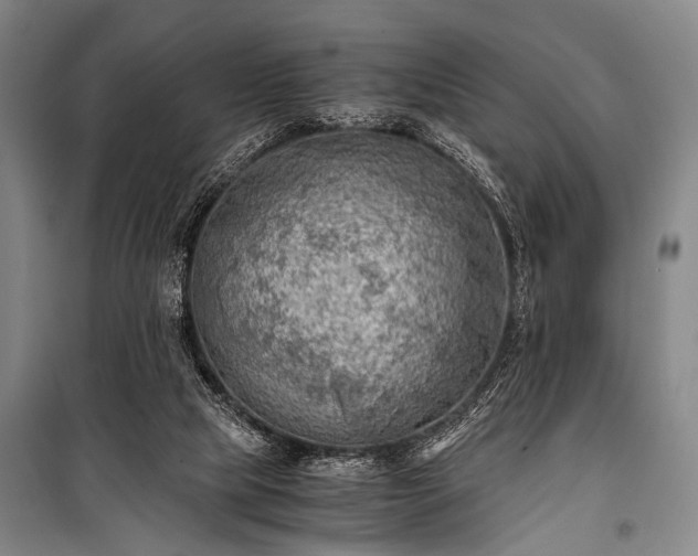 X0000100930065200807011231