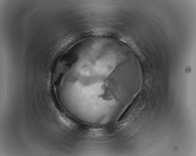 X0000100930066200807011231