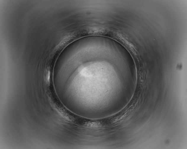 X0000100930067200807011231