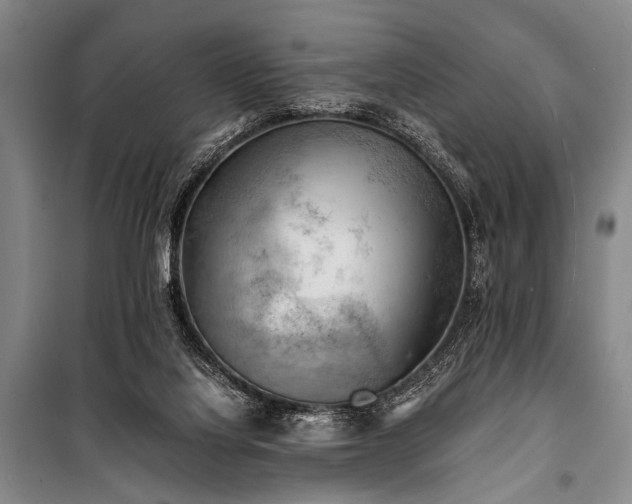 X0000100930068200807011231