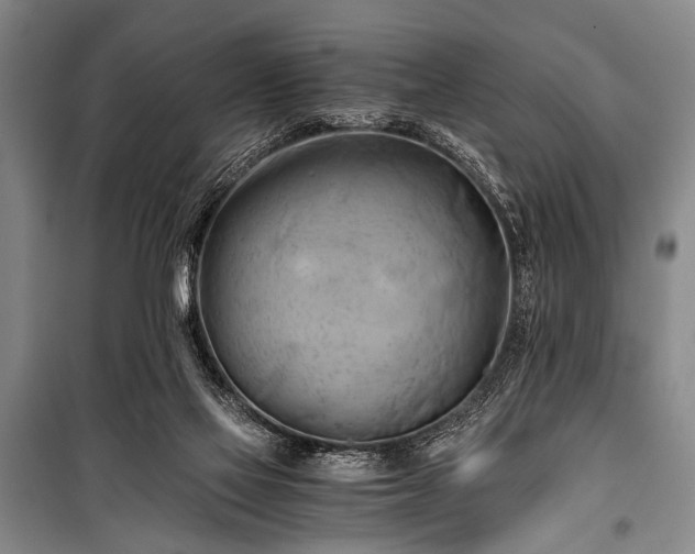 X0000100930069200807011231