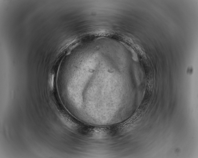 X0000100930070200807011231