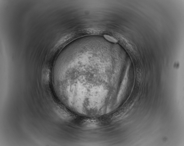 X0000100930071200807011231