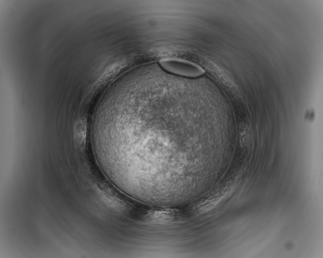 X0000100930072200807011231