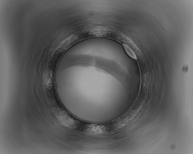 X0000100930073200807011231