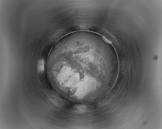 X0000100930075200807011231