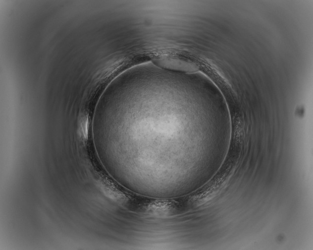 X0000100930076200807011231