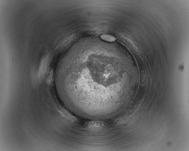 X0000100930077200807011231