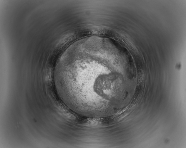 X0000100930078200807011231