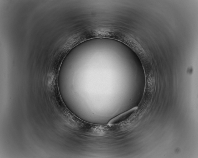 X0000100930079200807011231