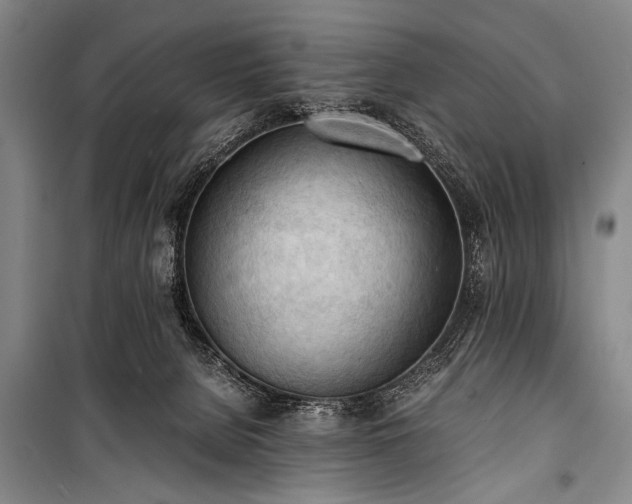 X0000100930080200807011231