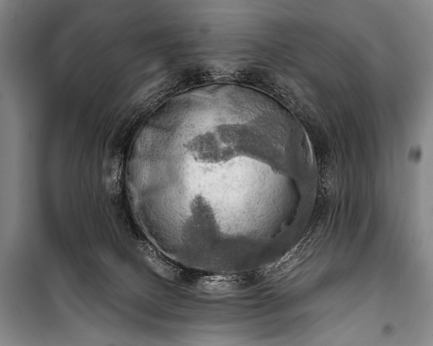 X0000100930082200807011231