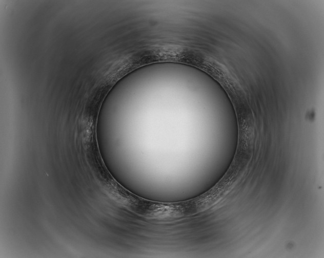 X0000100930083200807011231