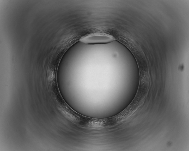 X0000100930084200807011231