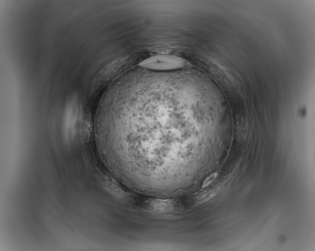 X0000100930085200807011231