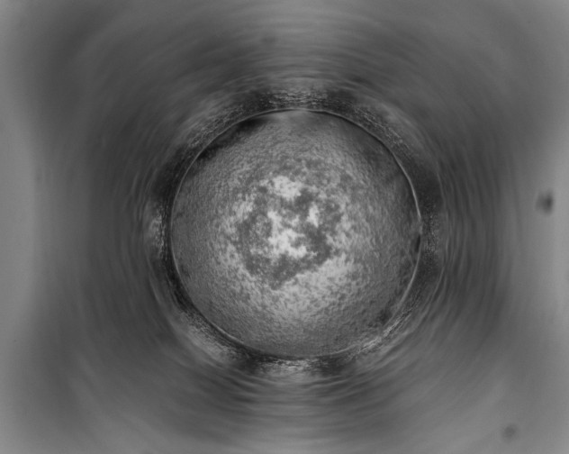 X0000100930086200807011231