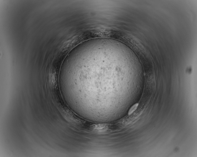 X0000100930088200807011231