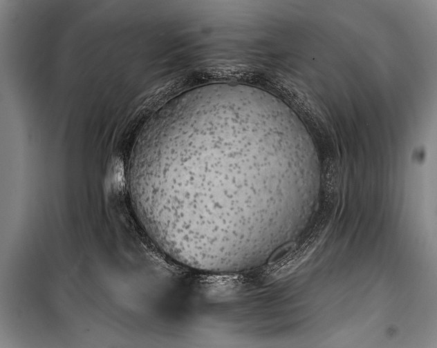 X0000100930089200807011231