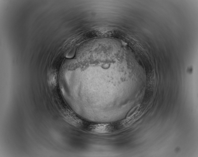 X0000100930090200807011231