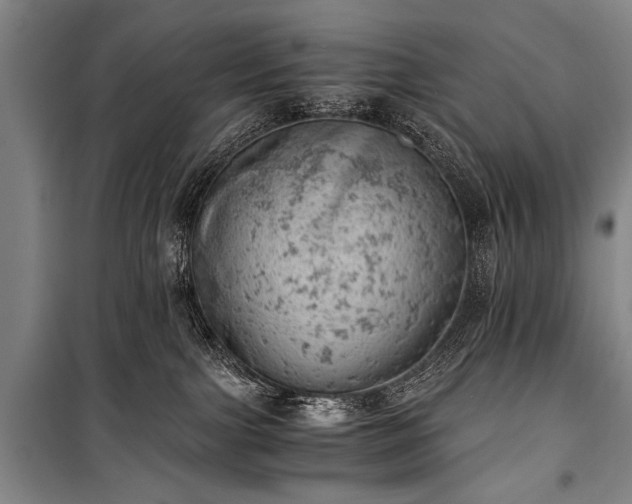 X0000100930091200807011231