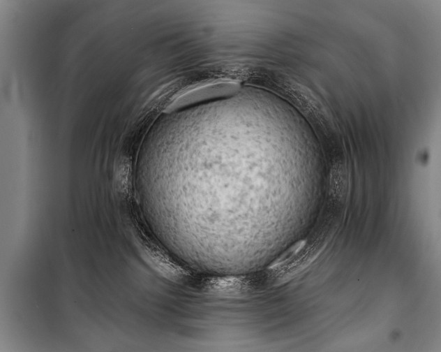 X0000100930092200807011231