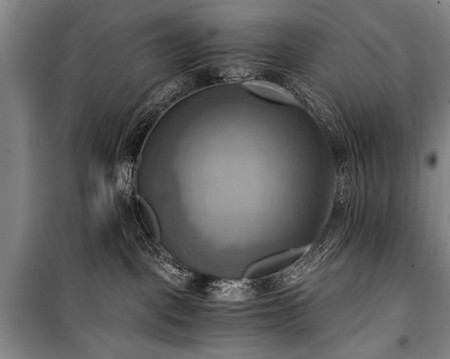 X0000100930093200807011231