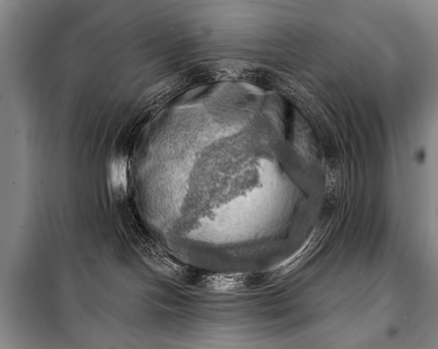 X0000100930094200807011231