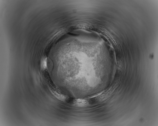 X0000100930095200807011231