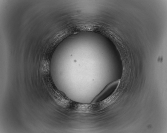 X0000100930096200807011231