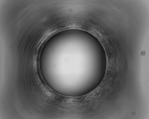 X0000100930098200807011231