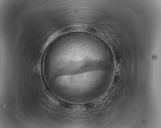 X0000100930099200807011231