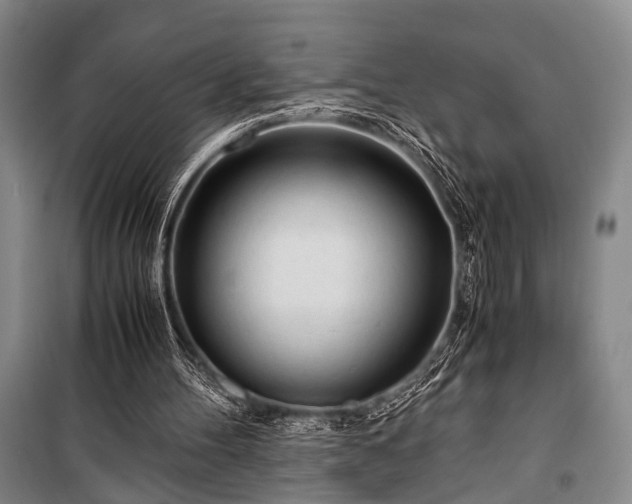 X0000100930100200807011231