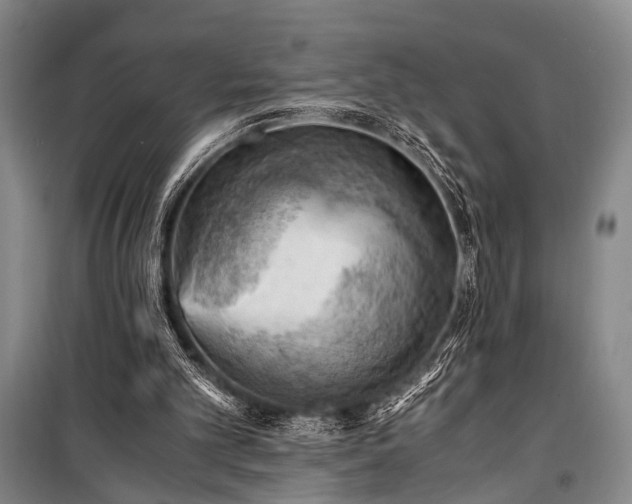 X0000100930101200807011231