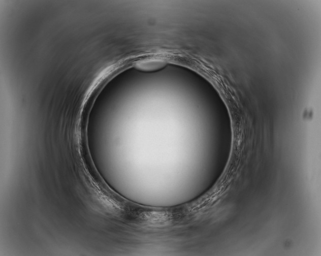 X0000100930102200807011231