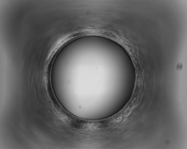 X0000100930103200807011231