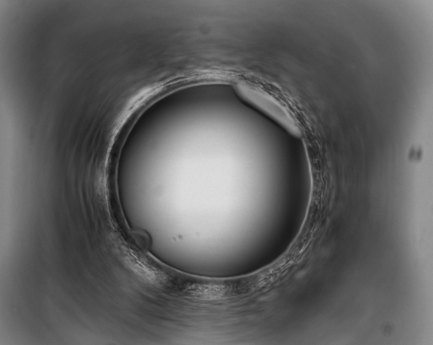 X0000100930104200807011231