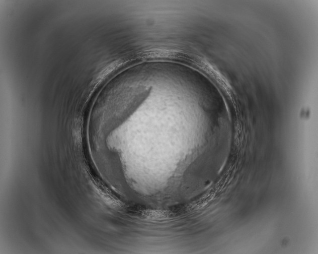 X0000100930107200807011230